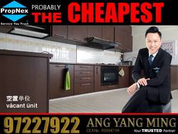 Blk 223 Bukit Batok East Avenue 3 (Bukit Batok), HDB Executive #191518082